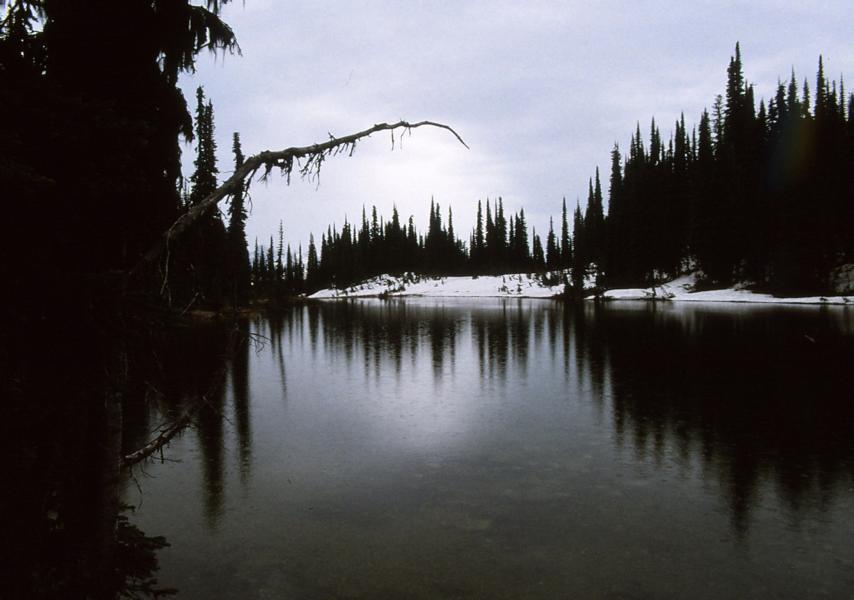 Miller Lake