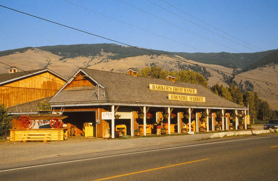Fruchtstand bei Osoyoos.