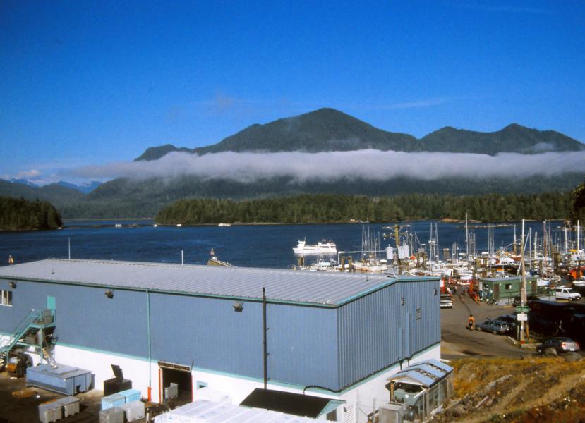 In Tofino wird auch Fisch verarbeitet.