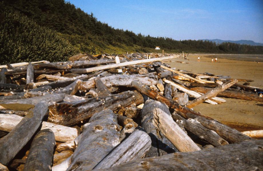 Strandgut bei Tofino.