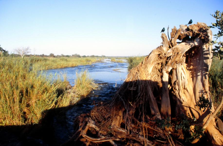 Olifants River 