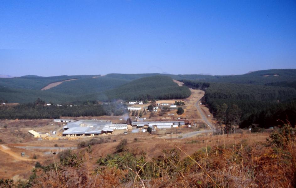 Holzverarbeitende Industrie in Swaziland.