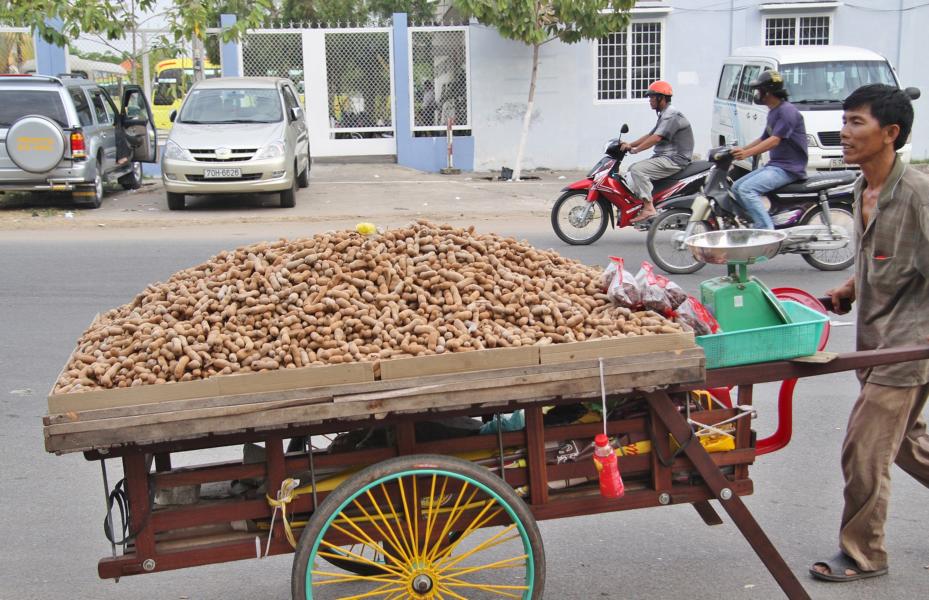 Die Obst-und Gemüsehändler preisen den Menschenmassen ihre Ware an. Erdnüsse werden in Vietnam reichlich angebaut und auch gegessen. 