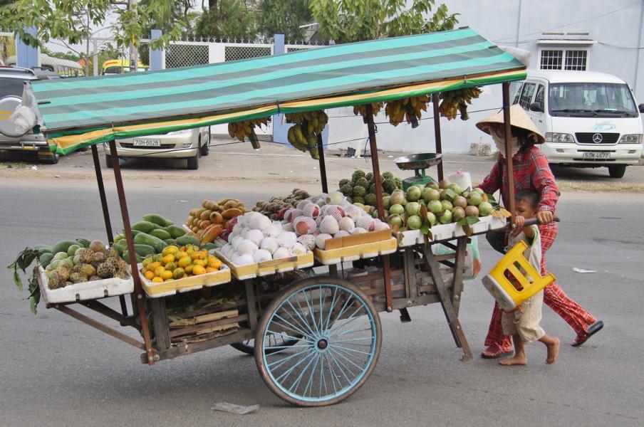 Auch Obst und Gemüse spielt in der Speisekarte der Vietnamesen eine wichtige Rolle. Beides ist preiswert zu haben. 