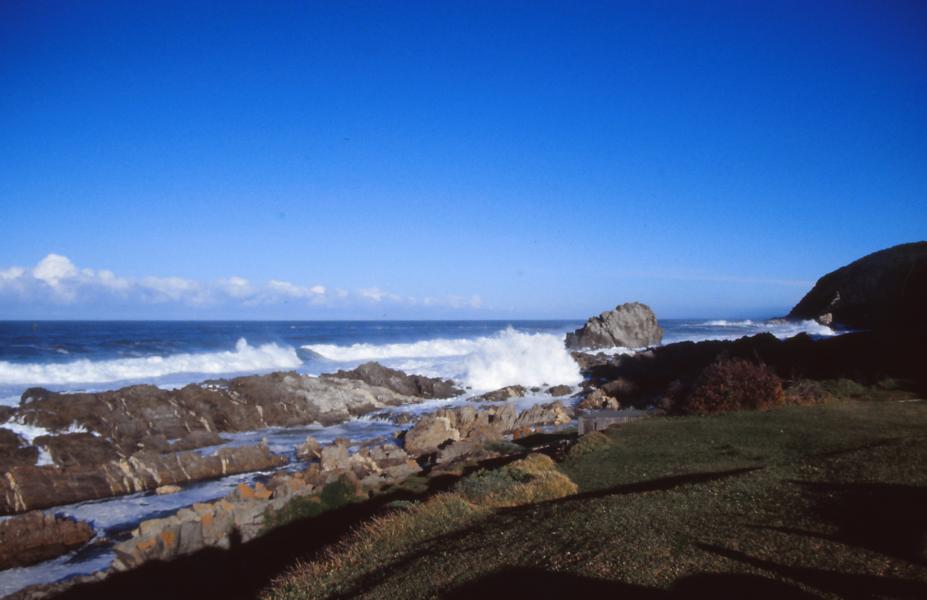 Tsitsikamma Trail