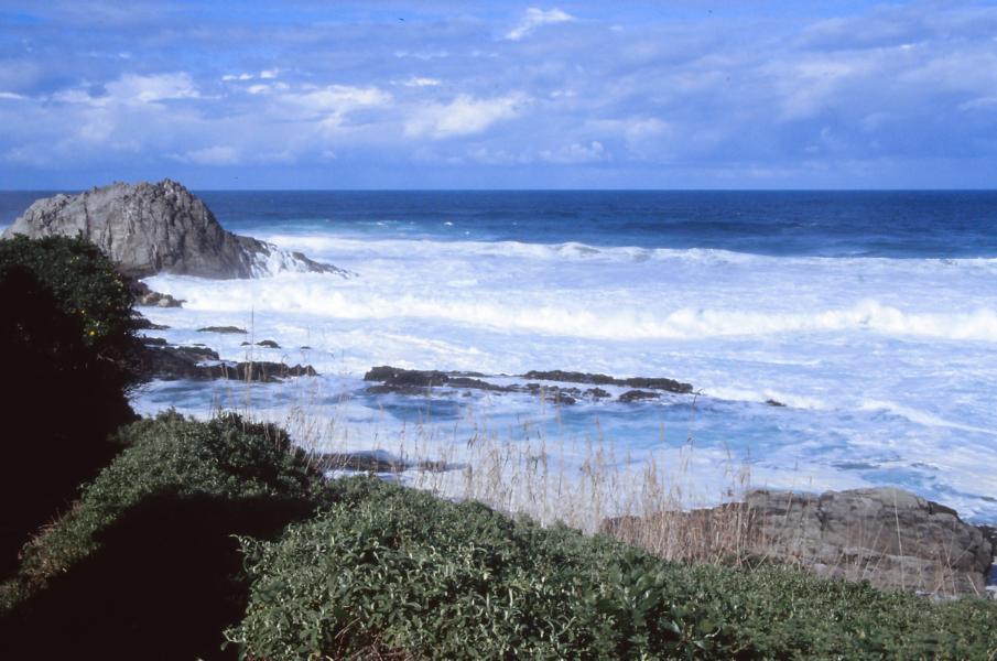 Tsitsikamma Trail