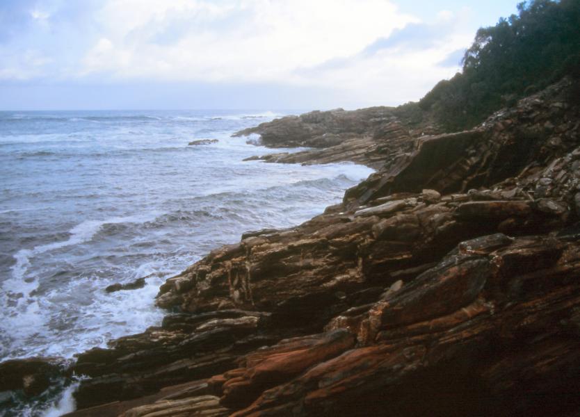 Otter - Trail
