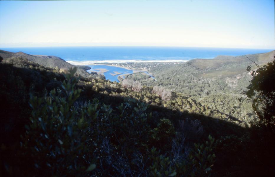 Blick auf Plettenberg Bay.