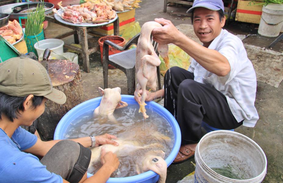 Im Angebot waren auch Hähnchen (1038) und frisch geschlachtete Enten, die von diesem Händler präsentiert wurden. 