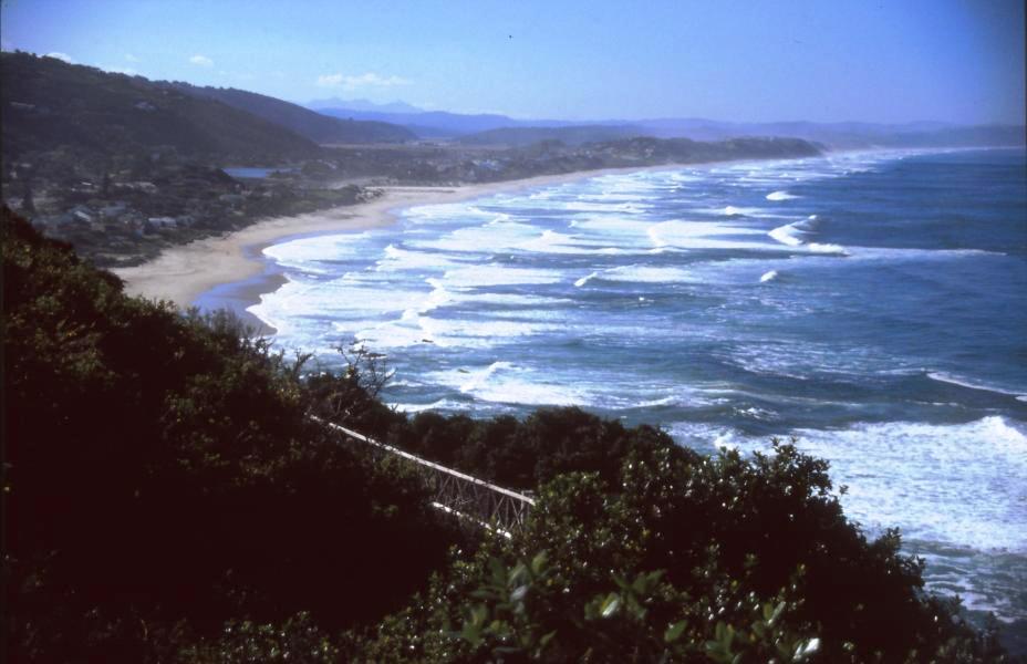 Blick auf den Strand bei Wilderness.