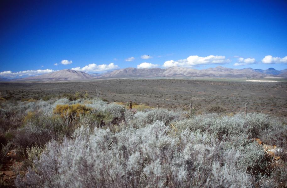 Blick in die Weite der Karoo.