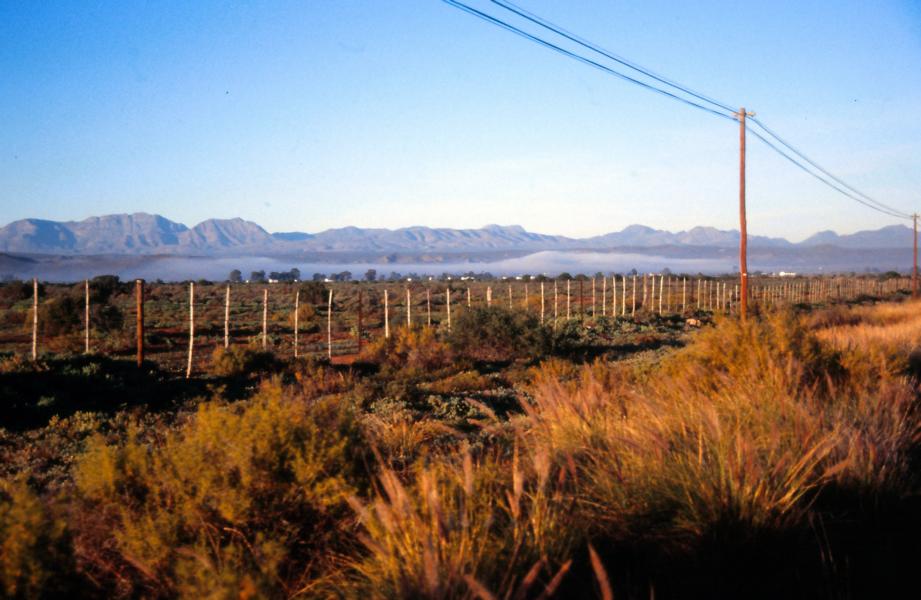 In den Morgenstunden hingen die Wolken in der Karoo noch tief in den Bergen.