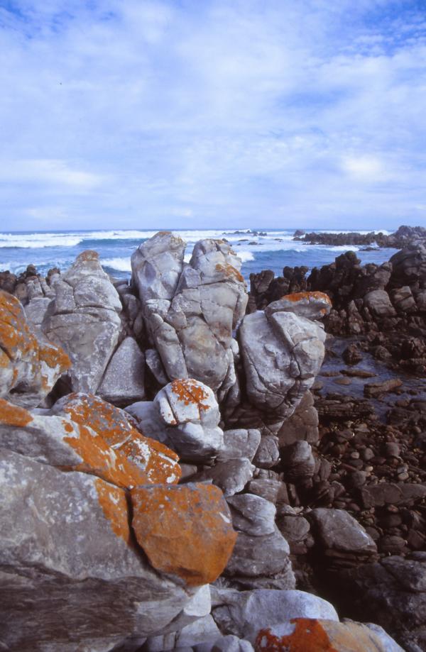 Küste am Kap Agulhas.