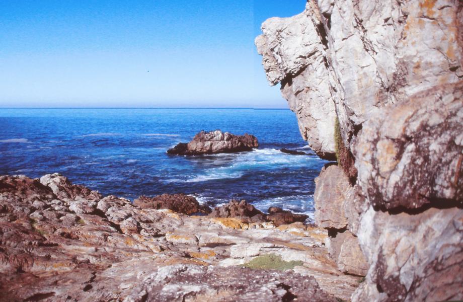 Bucht von Hermanus.
