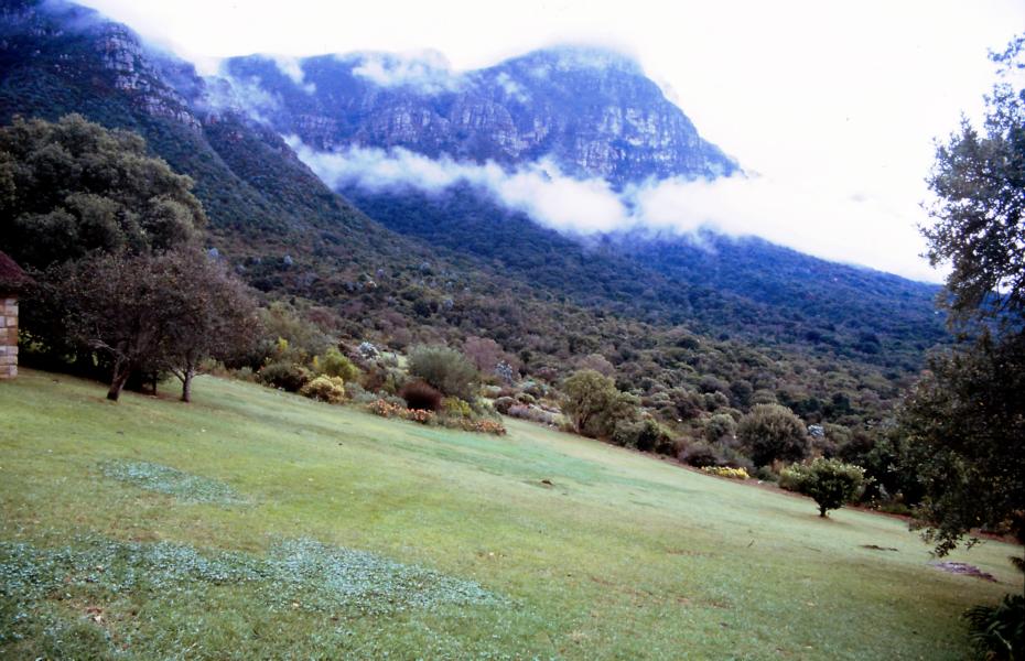 Kirstenbosch