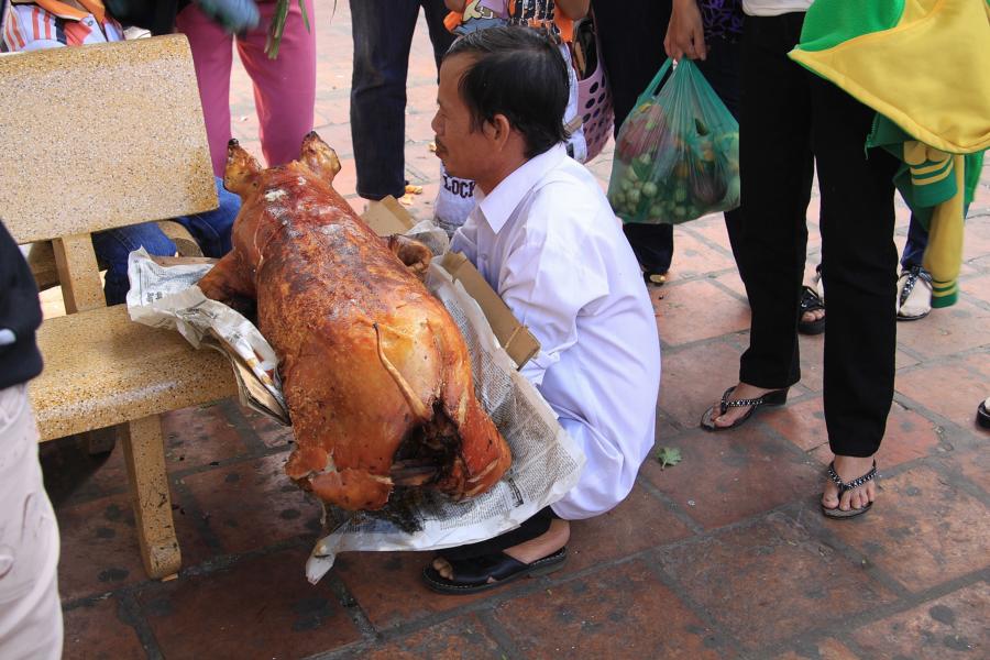 Hier wird ein Opferschwein ausgepackt und anschließend in die Kultstätte getragen. 