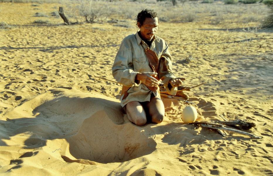 Mit Wasser gefüllte Straußeneier werden im kühlen Sand vergraben und markiert.