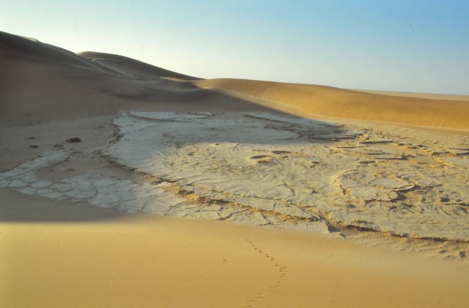 Namib