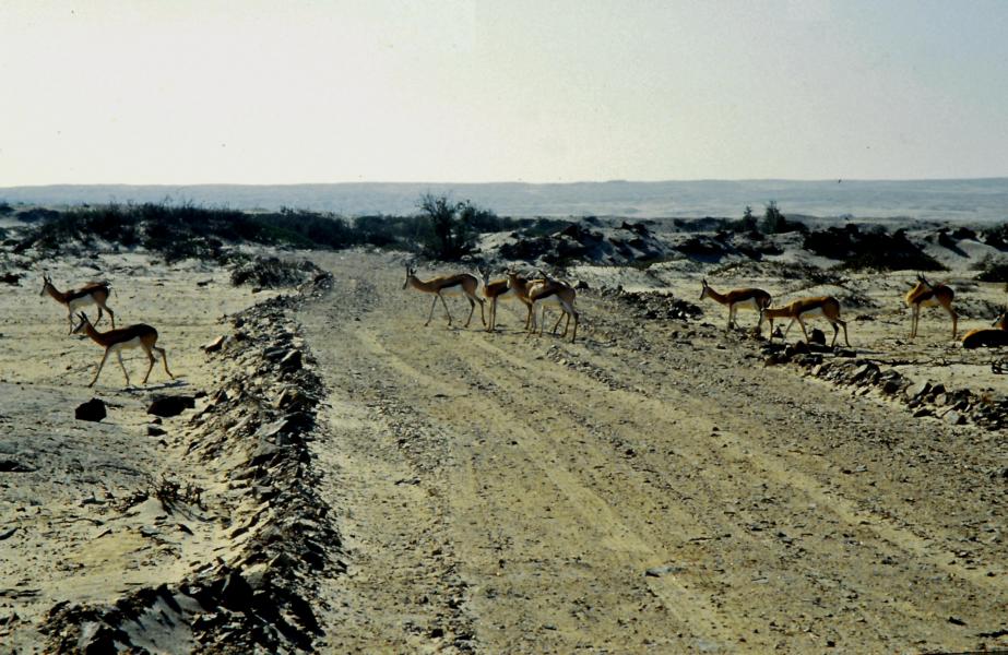 Auf dem Weg zur Mondlandschaft.