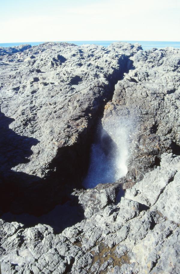 Blowhole