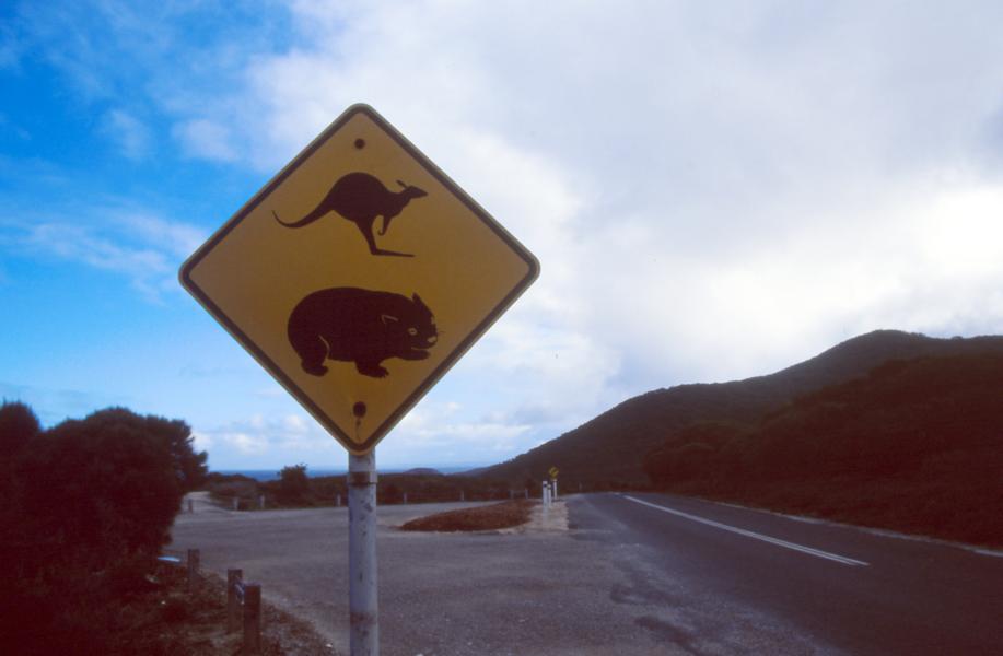 Zufahrt zum Wilsons Promontory Nationalpark.