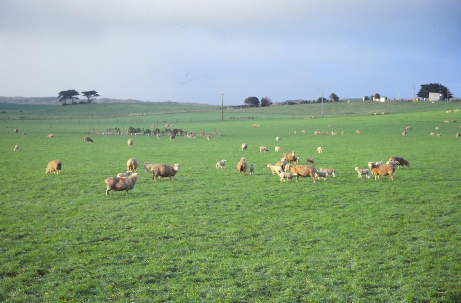 Zunächst führte die Strecke durch Farmland.
