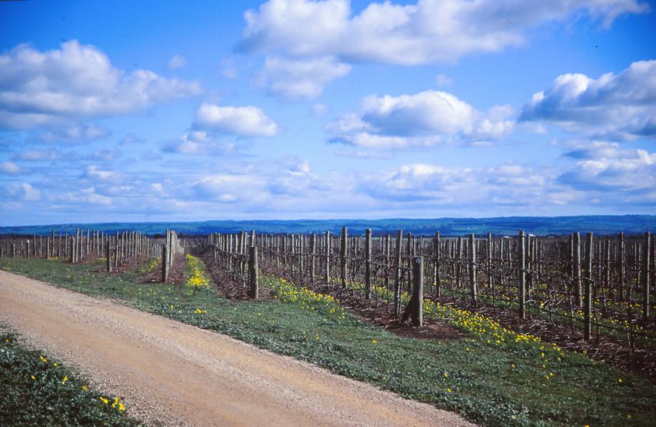 Barossa Valley