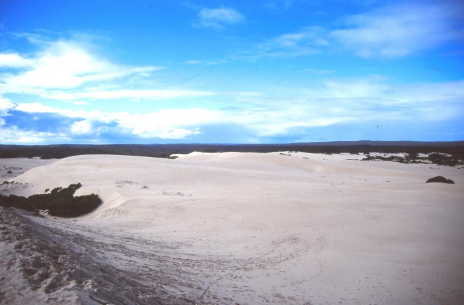 Little Sahara auf Kängeroo Island.