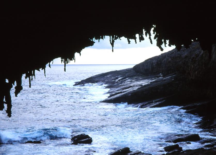 Arche