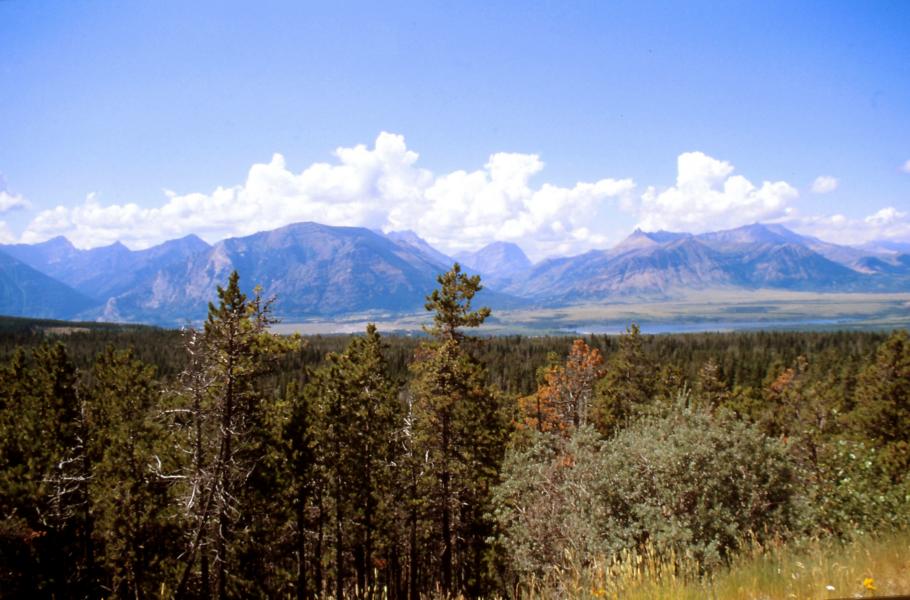 Der Waterton Lake hat eine Fläche von ca. 10km². Er ist durchschnittlich 80 m tief und liegt auf 1.280 m Höhe.