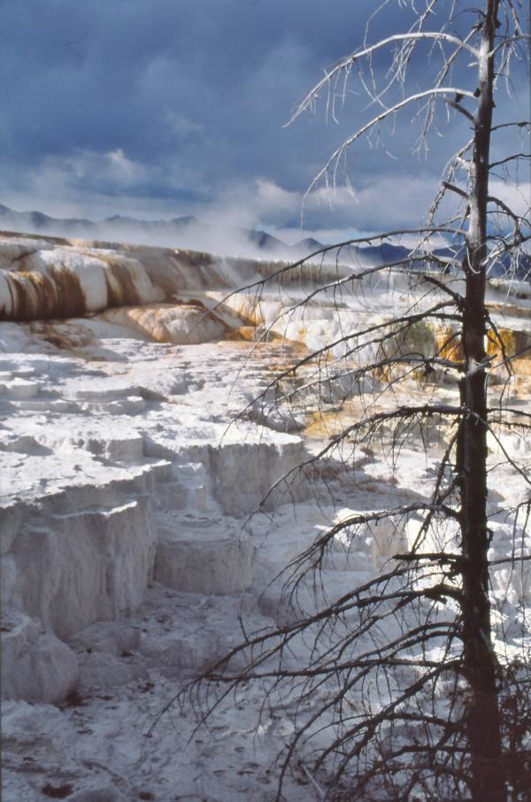 Aufgrund der immer neuen Ablagerungen wechselt die Fließrichtung des Wassers und damit die Temperatur und so die Farben - von Weiß bis Blau, Braun, Grün, Gelb, Orange oder Rot - der Terrassen von Jahr zu Jahr.