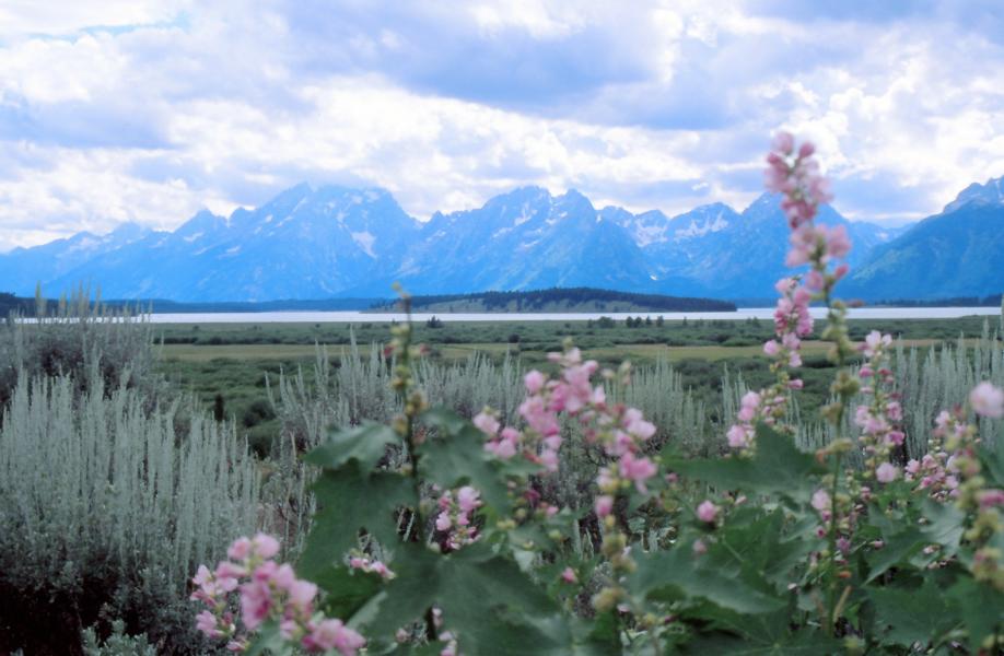 Jackson Lake