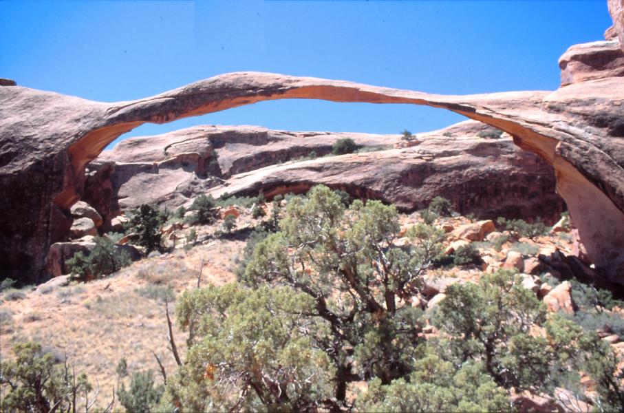 Wir sahen uns auch den Landscape Arch mit der Spannweite von 92 m an.