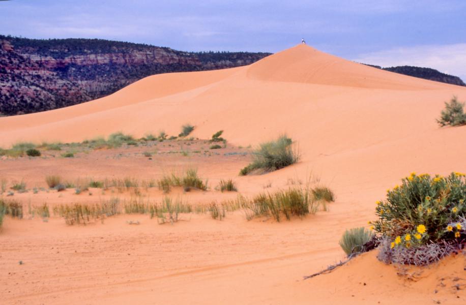 Coral Pink Sand Dunes State Park