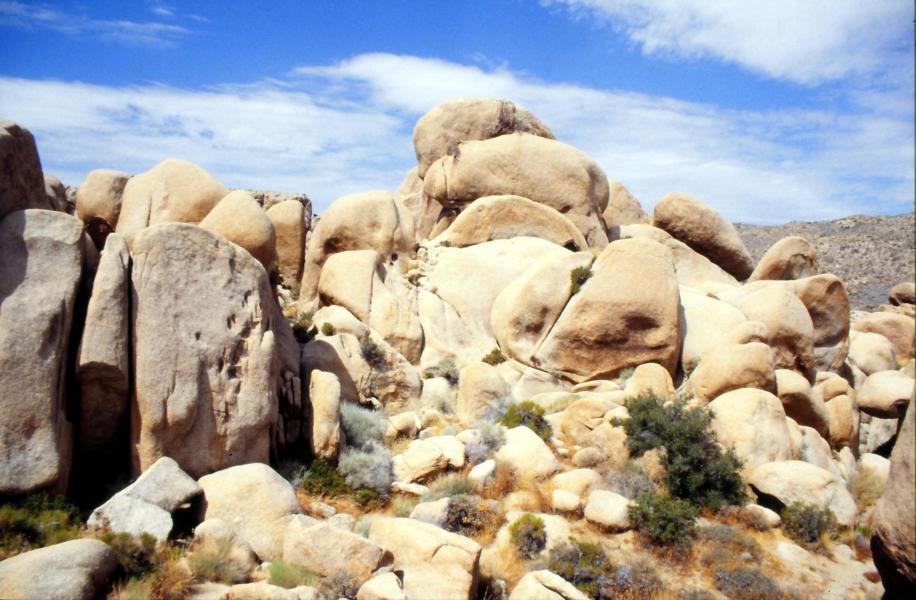 Joshua-Tree-Nationalpark 