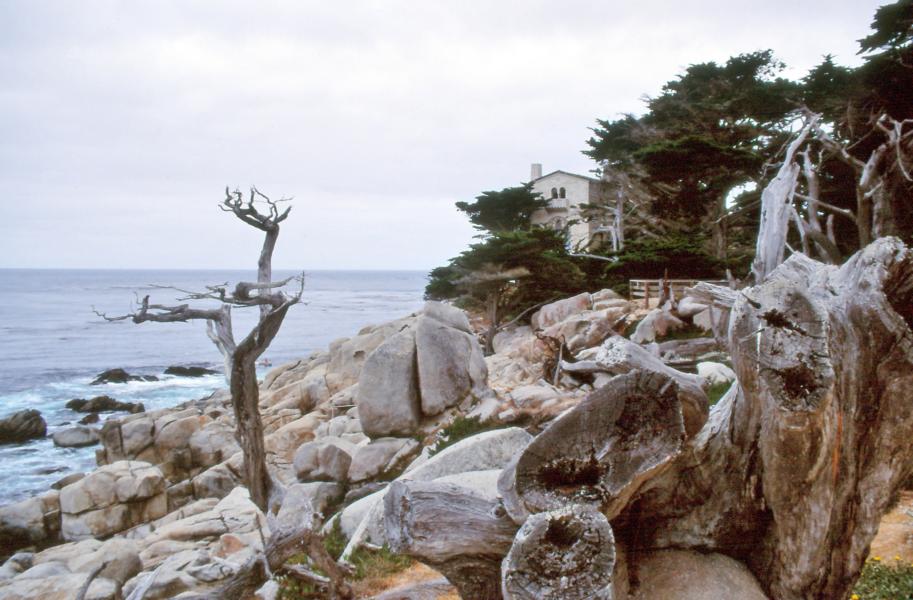 Big Sur
