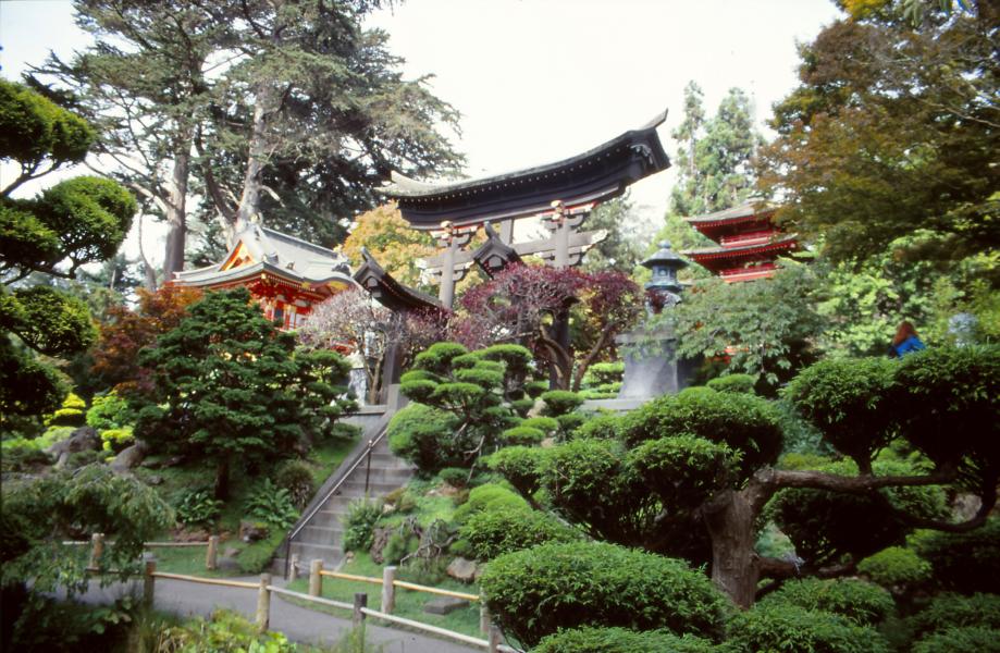 Japanischer Garten
