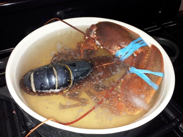 20 Minuten Kochzeit und der Leckerbissen war fertig.