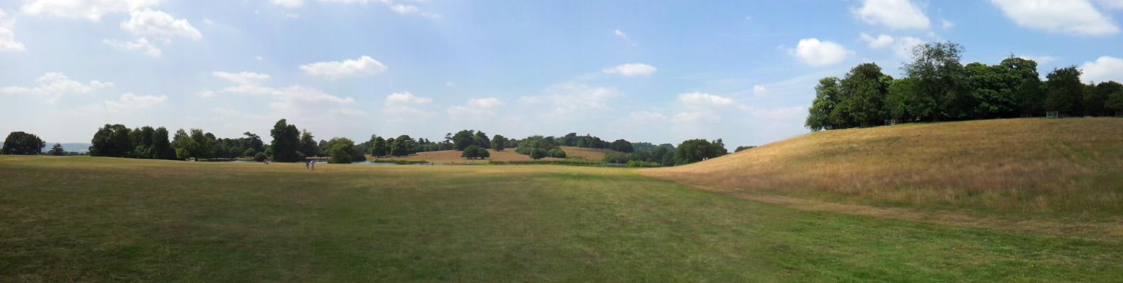 Wiese zum See.
