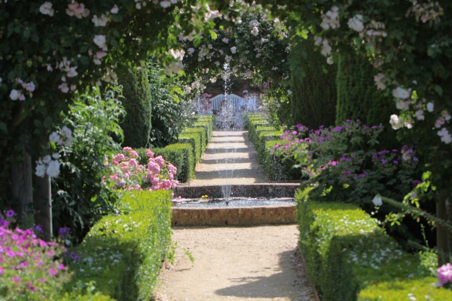 Rosengarten in Mottisfont.