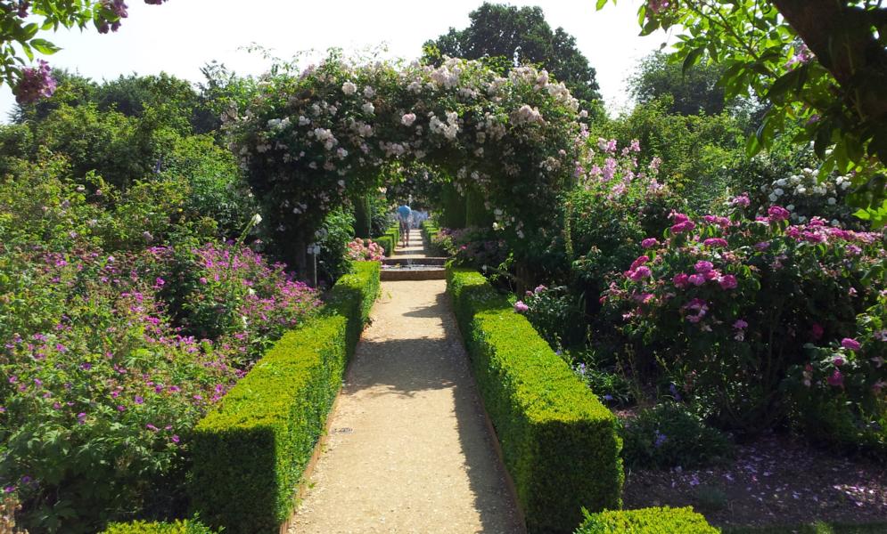 Rosengarten in Mottisfont.