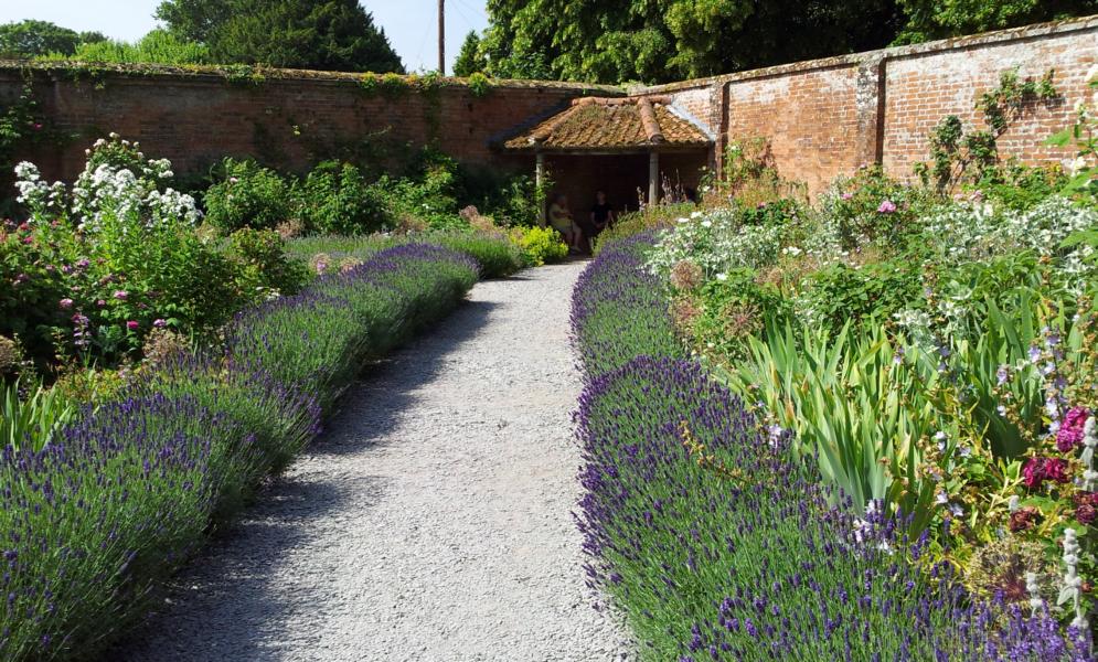 Rosengarten in Mottisfont.