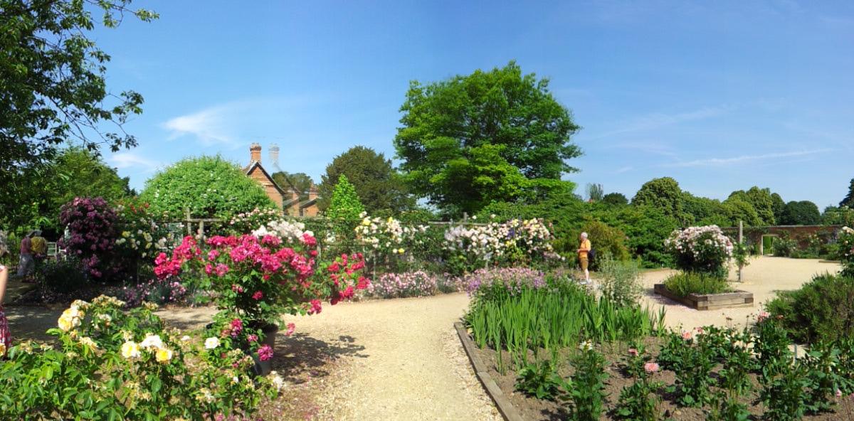 Rosengarten in Mottisfont.