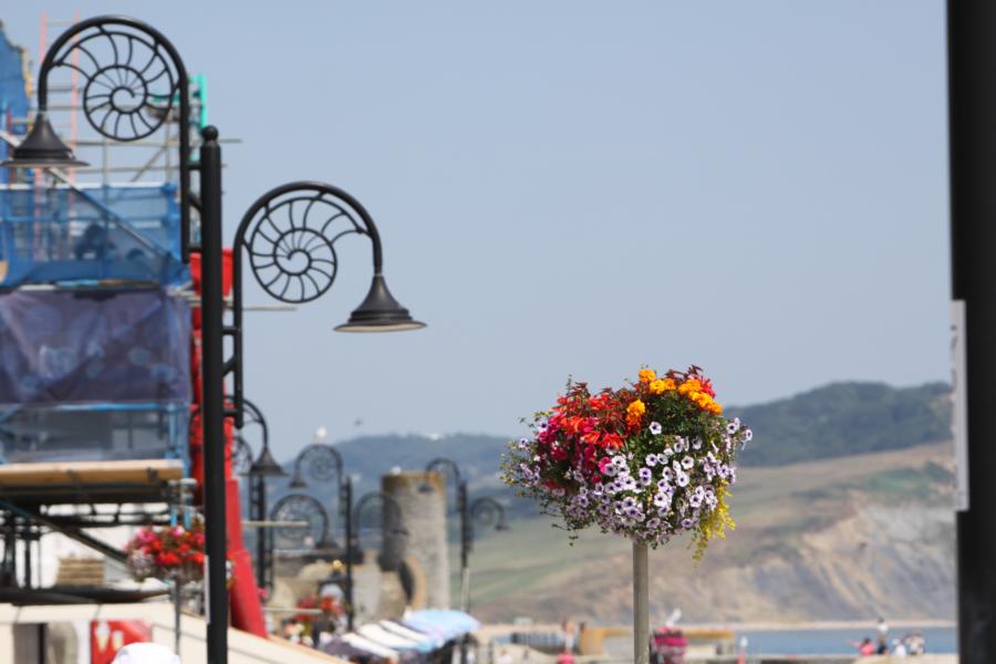Lyme Regis ist mit sehr schönen Blumenampeln geschmückt.