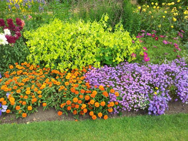 Blumenrabatten im Nymans Garden.