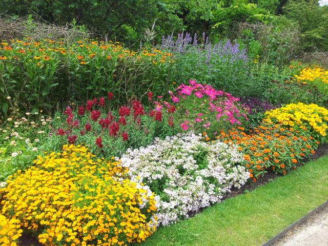 Blumenrabatten im Nymans Garden.