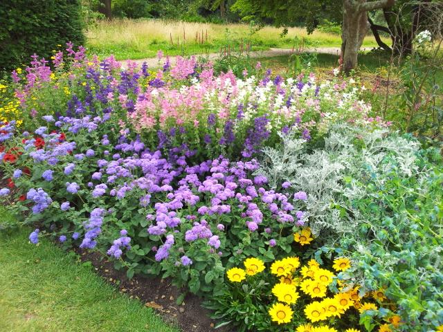 Blumenrabatten im Nymans Garden.