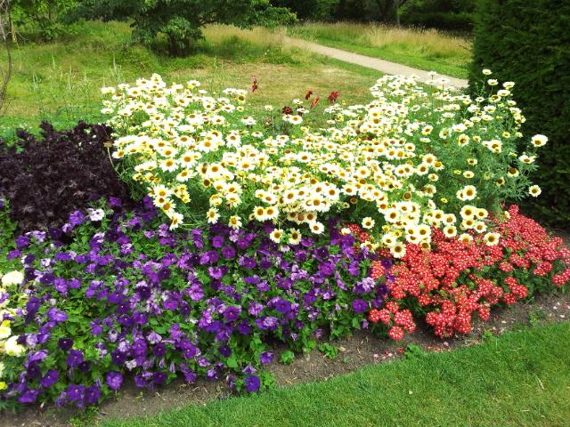Blumenrabatten im Nymans Garden.