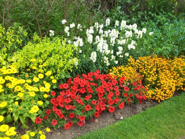 Blumenrabatten im Nymans Garden.