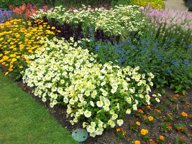 Blumenrabatten im Nymans Garden.